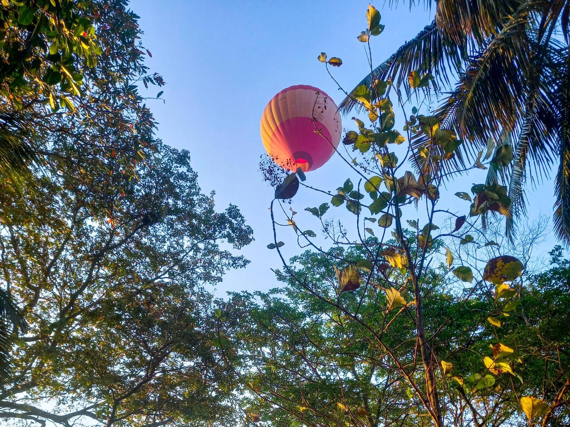 Nature Lotus Villa Dambulla Exterior photo