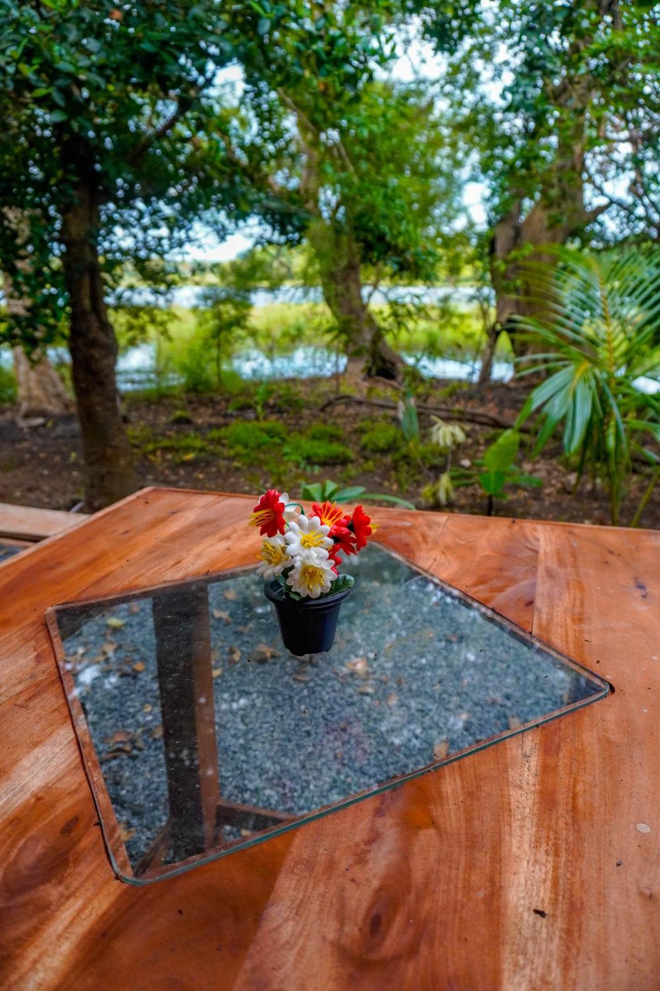 Nature Lotus Villa Dambulla Exterior photo