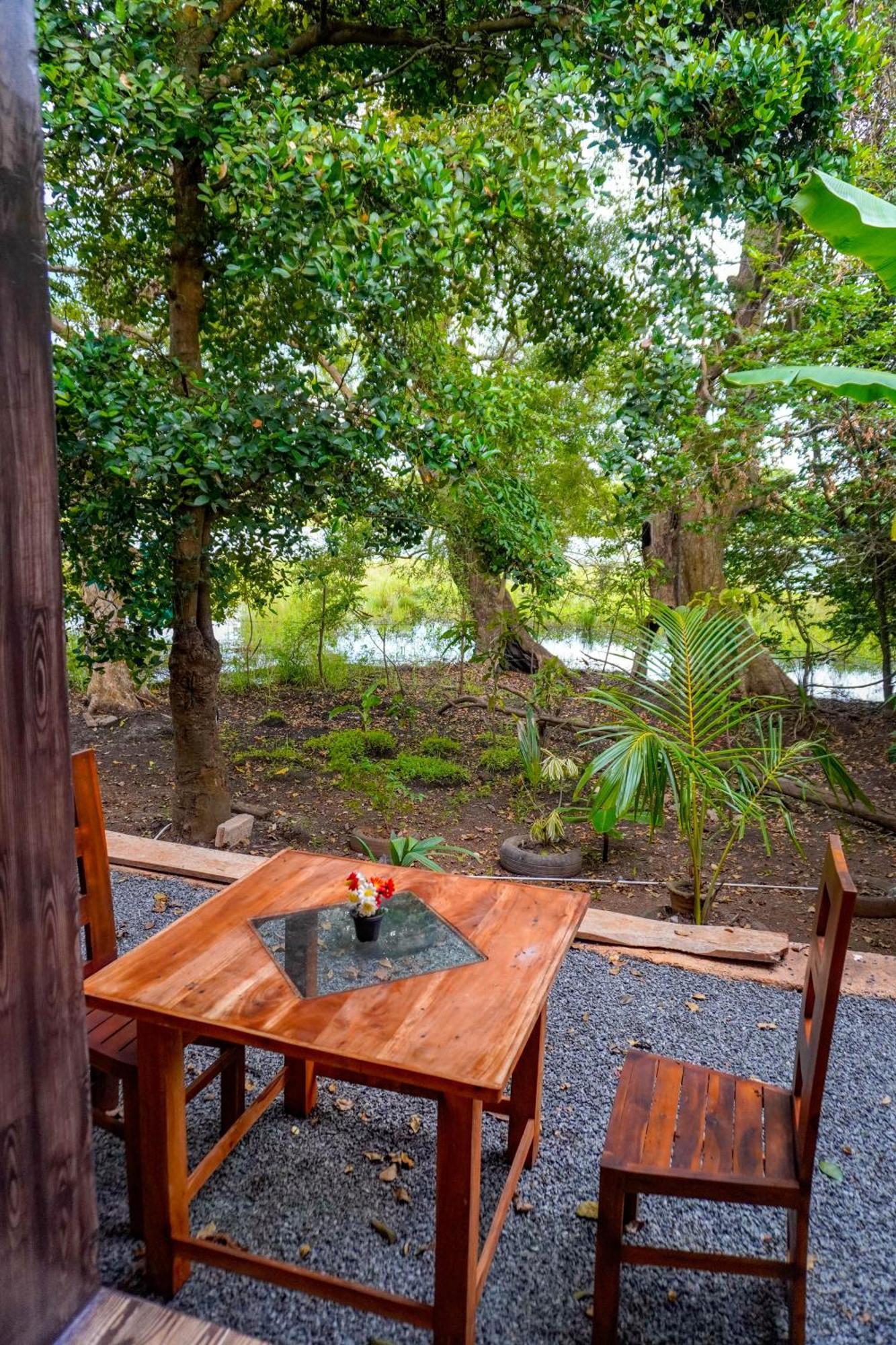 Nature Lotus Villa Dambulla Exterior photo