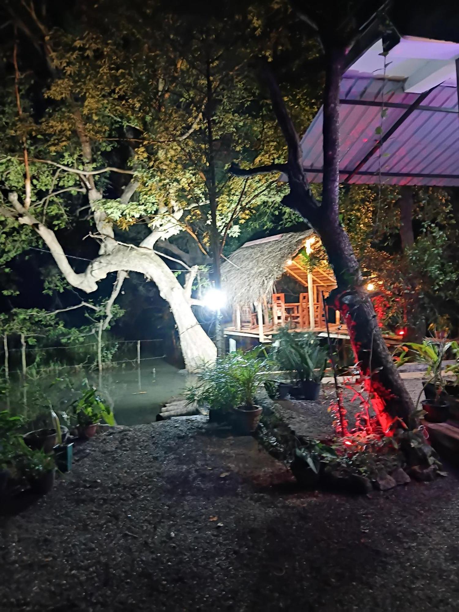 Nature Lotus Villa Dambulla Exterior photo