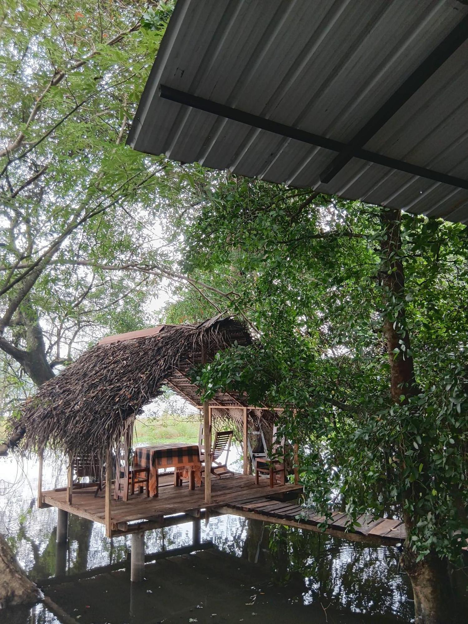 Nature Lotus Villa Dambulla Exterior photo
